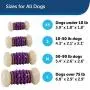 PetSafe Busy Buddy Nobbly Nubbly Treat Holding Dog Toy – Strong Chewers – Extra Small, Small, Medium, Large