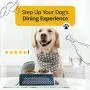 American Pet Supplies Modern Farmhouse Feeder for Puppies and Dogs American Pet Supplies Modern Farmhouse Feeder for Puppies and Dogs