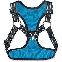 Voyager Step-In Flex Dog Harness - All Weather Mesh, Step In Adjustable Harness for Small and Medium Dogs by Best Pet Supplies