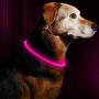 BSEEN LED Dog Collar, USB Rechargeable, Glowing Pet Dog Collar for Night Safety, Fashion Light up Collar for Small Medium Large dogs