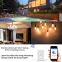 Smart Switch Works with Alexa In Wall Light Switch Mobile Phone APP Remote Alexa Control Sensitive Touch Wireless Wall Switch (One Way)