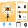 Ring Light with Stand 10.2" RingLight with Tripod Stand and Phone Holder Remote Control 3 Lighting Modes and 10 Lighting Levels of Dimmable RingLight Selfie Light for YouTube Video/Makeup/tiktok Shot