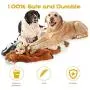 FIREOR Dog Squeaky Toys, No Stuffing Plush Pet Chew Toy for Small Medium Large Puppy, 5 Pack Two Squeaky Cute Animals (Raccoon Squirrel Tiger Fox and Lion)