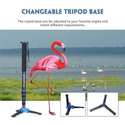 Moman Monopod Tripod with Feet for Camera DSLR Camcorder DV, Lightweight Portable Aluminum Alloy Unipod Alpenstock, Tripod Base Included, 5 Sections up to 65 inch