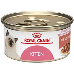 Royal Canin Feline Health Nutrition Kitten Canned Cat Food, 3 Ounce Cans