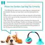 ALAIX New Dog Ropes Toy, Multifunction Pet Molar Bite Toy,Self-Playing Rubber Ball Toy with Suction Cup, Molar Chew Toy Toothbrush Puppy Dental Care Accessory Nontoxic Natural