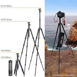 K&F Concept 61" Carbon Fiber Camera Tripod,B210 Professional Lightweight Compact Tripod with 2 Sections Central Column 360 Degree Ball Head and Carrying Case for Digital Camera/Camcorder
