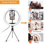 EMIUP 10 inch Selfie Ring Light with Tripod Stand & Cell Phone Holder for Live Stream/Makeup, Mini Led Camera Ringlight for YouTube Video/Photography Compatible with iPhone Android,3 Light Modes