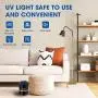 MUTANO Mosquito Killer Indoor - Attractant Insect Trap with 12 Sticky Glue Boards - Effective and Safe Fly Killer for Bug, Gnat, Mosquito and Insect MUTANO Mosquito Killer Indoor - Attractant Insect Trap with 12 Sticky Glue Boards - Effective and Safe Fly Killer for Bug, Gnat, Mosquito and Insect