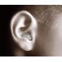 Etymotic Research MP9-15 MusicPRO High-Fidelity Electronic Earplugs, 1 pair