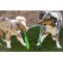 Pet Qwerks Tug & Toss Dog Toys - Tough, Durable, Interactive Toy | Best for Tug of War, Exercise, Fetch & Puppy Training! | Safe & Strong for for Small to Large Dogs and Puppies Pet Qwerks Tug & Toss Dog Toys - Tough, Durable, Interactive Toy | Best for Tug of War, Exercise, Fetch & Puppy Training! | Safe & Strong for for Small to Large Dogs and Puppies
