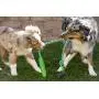 Pet Qwerks Tug & Toss Dog Toys - Tough, Durable, Interactive Toy | Best for Tug of War, Exercise, Fetch & Puppy Training! | Safe & Strong for for Small to Large Dogs and Puppies