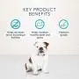 Blue Buffalo Dental Bones Natural Adult Dental Chew Dog Treats Mini 27oz bag Value Pack Blue Buffalo Dental Bones Natural Adult Dental Chew Dog Treats Mini 27oz bag Value Pack