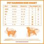 Voyager Step-in Air Dog Harness - All Weather Mesh, Step in Vest Harness for Small and Medium Dogs by Best Pet Supplies