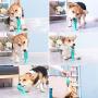nonogo Dog Toothbrush chew Stick Suction Cup Dog Toy,Natural Rubber Teeth Cleaning Chewing Toys,Non-Toxic Chewy Dog Toothbrush is Suitable for Small and Medium-Sized Pets