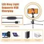 Ring Light 10" with Stand & Phone Holder for YouTube Video, Dimmable Desk LED Ring Light with Cell Phone Holder for Photography, Shooting, Tiktok, Selfie (2020 New Version)