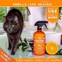 ANGRY ORANGE Ready-to-Use Citrus Pet Odor Eliminator Pet Spray - Urine Remover and Carpet Deodorizer for Dogs and Cats