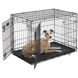 MidWest Homes for Pets Dog Crate | iCrate Single Door & Double Door Folding Metal Dog Crates | Fully Equipped