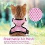 rabbitgoo Cat Harness and Leash for Walking, Escape Proof Soft Adjustable Vest Harnesses for Medium Large Cats, Easy Control Breathable Pet Safety Jacket with Reflective Strips & 1 Metal Leash Ring