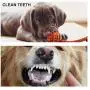 Toozey Small Dog Toys for Puppies with 3 Pack, Stuffless Crinkle Puppy Toys, Plush Puppy Teething Toys, and Natural Cotton Rope Toys for Small Dogs and Puppies, Healthy and Durable