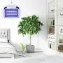 ASPECTEK Powerful 20W Electronic Insect Indoor Killer, Bug Zapper, Fly Zapper, Mosquito Killer-Indoor Use Including Free 2 PACK Replacement Bulbs ASPECTEK Powerful 20W Electronic Insect Indoor Killer, Bug Zapper, Fly Zapper, Mosquito Killer-Indoor Use Including Free 2 PACK Replacement Bulbs