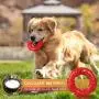 St.Zoe Dog Toys for Aggressive Chewers, Nearly Indestructible Tough Durable Natural Rubber Puppy Chew Toy for Large & Medium Breeds St.Zoe Dog Toys for Aggressive Chewers, Nearly Indestructible Tough Durable Natural Rubber Puppy Chew Toy for Large & Medium Breeds