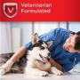 Nutri-Vet Asprin Chewables for Large Dogs | Relieves Pain and Inflamation | 75 Count