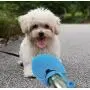Dog Water Bottle, Stainless Steel Dog Water Dispenser, Portable Dog Water Bottle for Walking, Hiking, Running, Travel Dog Water Bottle, Easy to Use (Green)
