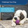 PetSafe Busy Buddy Bouncy Bone, Treat Holding Dog Toy, Small, Medium, Medium/Large and Large Sizes