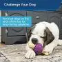 PetSafe Busy Buddy Bouncy Bone, Treat Holding Dog Toy, Small, Medium, Medium/Large and Large Sizes