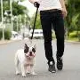 Downtown Pet Supply Dog Puppy Obedience Recall Training Agility Lead - Great for Training, Play, Camping, or Backyard (15ft, 20ft, 30ft, 50ft, 75ft, 100ft, 150ft, 200ft)