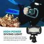 Movo LED-WP Underwater High-Power Rechargeable LED Video Light with Action Camera and Shoe Mounts, Compatible with GoPro, DSLR - Perfect for Vlogging, Traveling, Scuba Diving, Snorkel, Surfing, Sport Movo LED-WP Underwater High-Power Rechargeable LED Video Light with Action Camera and Shoe Mounts, Compatible with GoPro, DSLR - Perfect for Vlogging, Traveling, Scuba Diving, Snorkel, Surfing, Sport