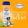 Arm & Hammer Super Deodorizing Shampoo for Dogs | Odor Eliminating Shampoo for Smelly Dogs & Puppies | Kiwi Blossom, 20 Ounces - 2 Pack