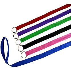 6 Foot Slip Lead, Slip Leads, Kennel Leads with O Ring for Dog Pet Animal Control Grooming, Shelter, Rescues, Vet, Veterinarian, Doggy Daycare (Size: 6 x 1", Colors: Various)