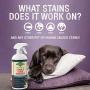 Professional Strength Stain & Odor Remover - Natural Enzyme Cleaner (Bulk 32oz) for Dog & Cat Urine, Waste, Wine, Blood, Vomit, etc. Safe & Effective Pet Smell Eliminator for Carpet, Hardwood & More