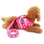 SELMAI Puppy Cat Small Girl Dog Dots Vest Harness Leash Set Mesh Padded No Pull Lead (Size Run Small,Please Check Size Details Carefully Before Purchase)