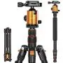 Joilcan 80-inch Tripod for Camera, Aluminum Tripod for DSLR,Monopod, Lightweight Tripod with 360 Degree Ball Head Stable for Travel and Work 18.5"-80",19lb Load (Orange) Joilcan 80-inch Tripod for Camera, Aluminum Tripod for DSLR,Monopod, Lightweight Tripod with 360 Degree Ball Head Stable for Travel and Work 18.5"-80",19lb Load (Orange)