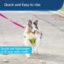 PetSafe Nylon Dog Leash, Strong, Durable, Traditional Style Leash with Easy to Use Bolt Snap - Available in Multiple Widths and Colors