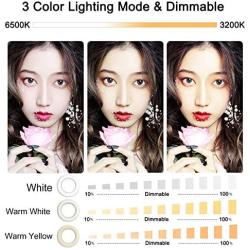Selfie Ring Light Rechargeable Selfie Fill Ring Light with 36 LED & 3 Lighting Modes Adjustable Brightness Phone Camera Circle Light for iPhone 7 8 Plus X Xr Xs Max 11 Pro,iPad,Computer,Laptop (White)