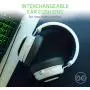 Razer Kraken 7.1 V2: 7.1 Surround Sound - Retractable Noise-Cancelling Mic - Lightweight Aluminum Frame - Gaming Headset Works with PC & PS4  - Mercury