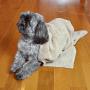 Bone Dry DII Microfiber Dog Bath Towel with Embroidered Paw Print