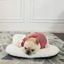 ANWA Dog Bed Pet Cushion Crate Mat Soft Pad Washable and Cozy for Medium Large Dog ANWA Dog Bed Pet Cushion Crate Mat Soft Pad Washable and Cozy for Medium Large Dog