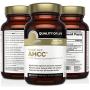 Premium Kinoko Gold AHCC Supplement–500mg of AHCC per Capsule–Supports Immune Health, Liver Function, Maintains Natural Killer Cell Activity & Enhances Cytokine Production–60 Veggie Capsules