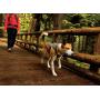 RUFFWEAR - Web Master Secure, Reflective, Multi-Use Harness for Dogs, Twilight Gray, Small