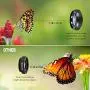 (New) Phone Camera Lens, 0.6X Super Wide Angle Lens, 15X Macro Lens, 2 in 1 Clip-On Cell Phone Lens Kit for iPhone, Samsung, Other Smartphones (New) Phone Camera Lens, 0.6X Super Wide Angle Lens, 15X Macro Lens, 2 in 1 Clip-On Cell Phone Lens Kit for iPhone, Samsung, Other Smartphones