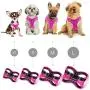 metric usa / Comfort Fit Pets Lightweight Soft Padded No Pull Small Dog Harness Vest ● Easy to Put on & Take Off ● Interior & Exterior Padded Puppy Harness ● Ensures Your Dog is Cool & Comfortable metric usa / Comfort Fit Pets Lightweight Soft Padded No Pull Small Dog Harness Vest ● Easy to Put on & Take Off ● Interior & Exterior Padded Puppy Harness ● Ensures Your Dog is Cool & Comfortable