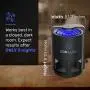 Eon Luxe Solutions Indoor Mosquito Killer & Fruit Fly Trap - NO ZAPPING NONTOXIC - Indoor Mosquito Killer - Also for Gnats, Drain Flies, Mosquito, Insect Killer - Indoor Kitchen Bug Catcher Eon Luxe Solutions Indoor Mosquito Killer & Fruit Fly Trap - NO ZAPPING NONTOXIC - Indoor Mosquito Killer - Also for Gnats, Drain Flies, Mosquito, Insect Killer - Indoor Kitchen Bug Catcher