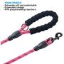ladoogo 2 Pack 5 FT Heavy Duty Dog Leash with Comfortable Padded Handle Reflective Dog leashes for Medium Large Dogs