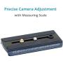 FLYCAM Redking Quick Balancing Video Camera Stabilizer with Dovetail Quick Release (FLCM-RK) | Professional CNC Aluminum Camera Stabilizer for DSLR BMCC Sony Nikon DV Camcorders up to 7kg/15.4lb + Bag