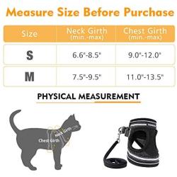 rabbitgoo Cat Harness and Leash Set for Walking Escape Proof, Adjustable Soft Kittens Vest with Reflective Strip for Extra Small and Small Cats, Step-in Comfortable Outdoor Vest